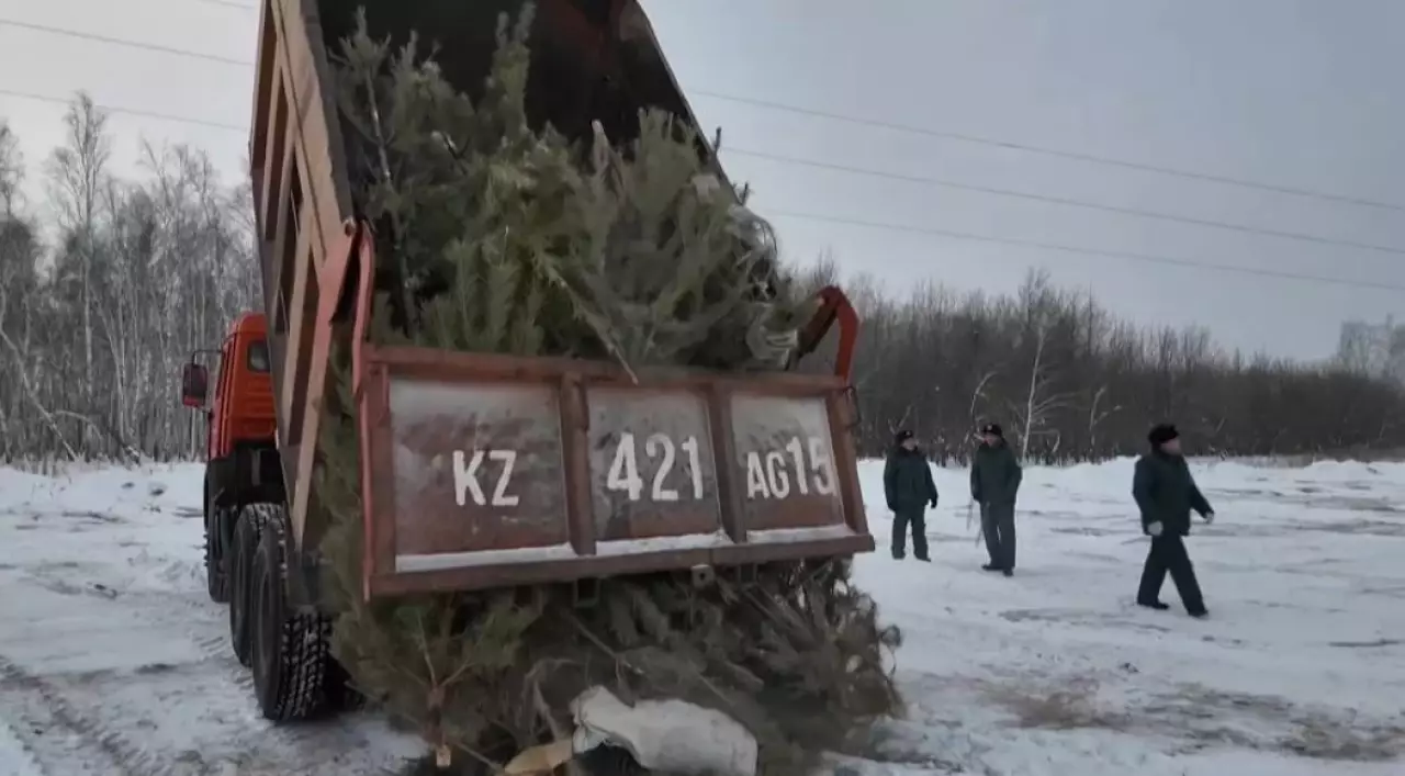 Почти 1300 нарушений правил благоустройства выявили в Петропавловске