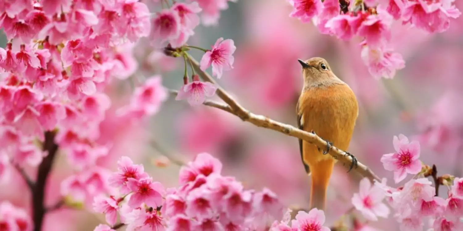 Қазақстанда XIX ғасырдан бері болмаған ауа райы тіркелді