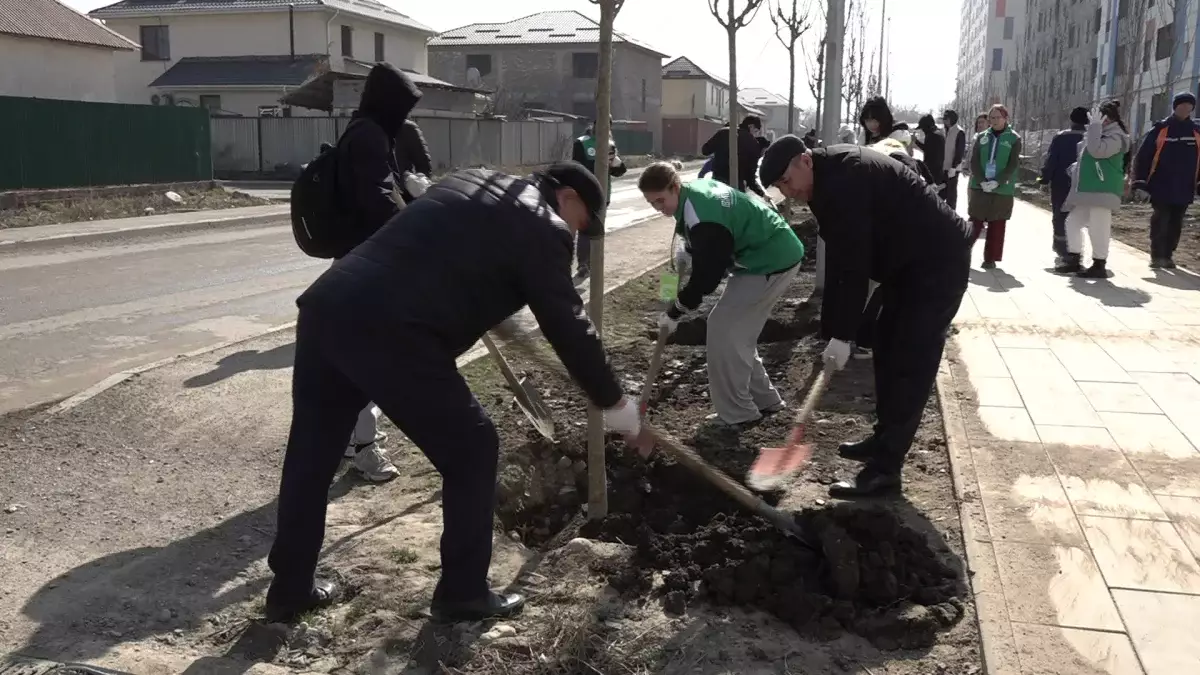 Наурызнама:  Жаңару күнінде алматылықтар көшет отырғызды