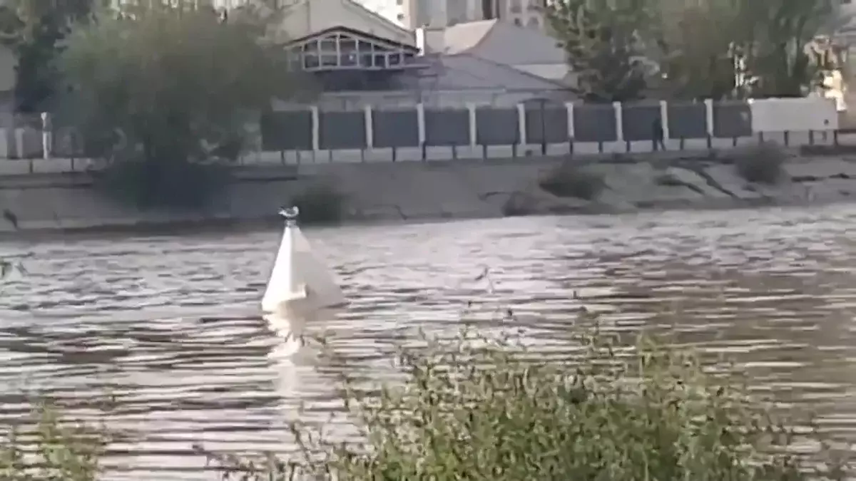 Атырауда балықшылар көпірден секірген бойжеткенді құтқарып алды