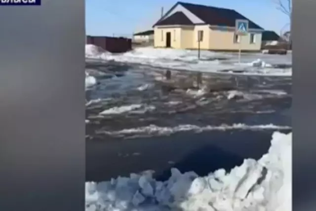 “Мектепке тізеден су кешіп барады”: Ақмол ауылының тұрғындары су астында қалудан қауіптенуде