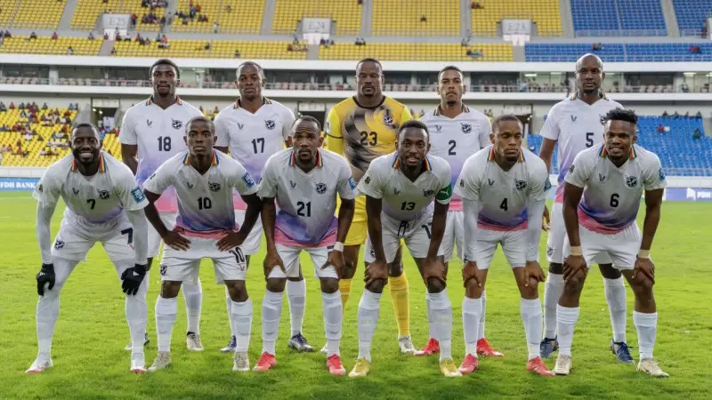 FIFA Series: Намибия құрамасы жайлы не білеміз?