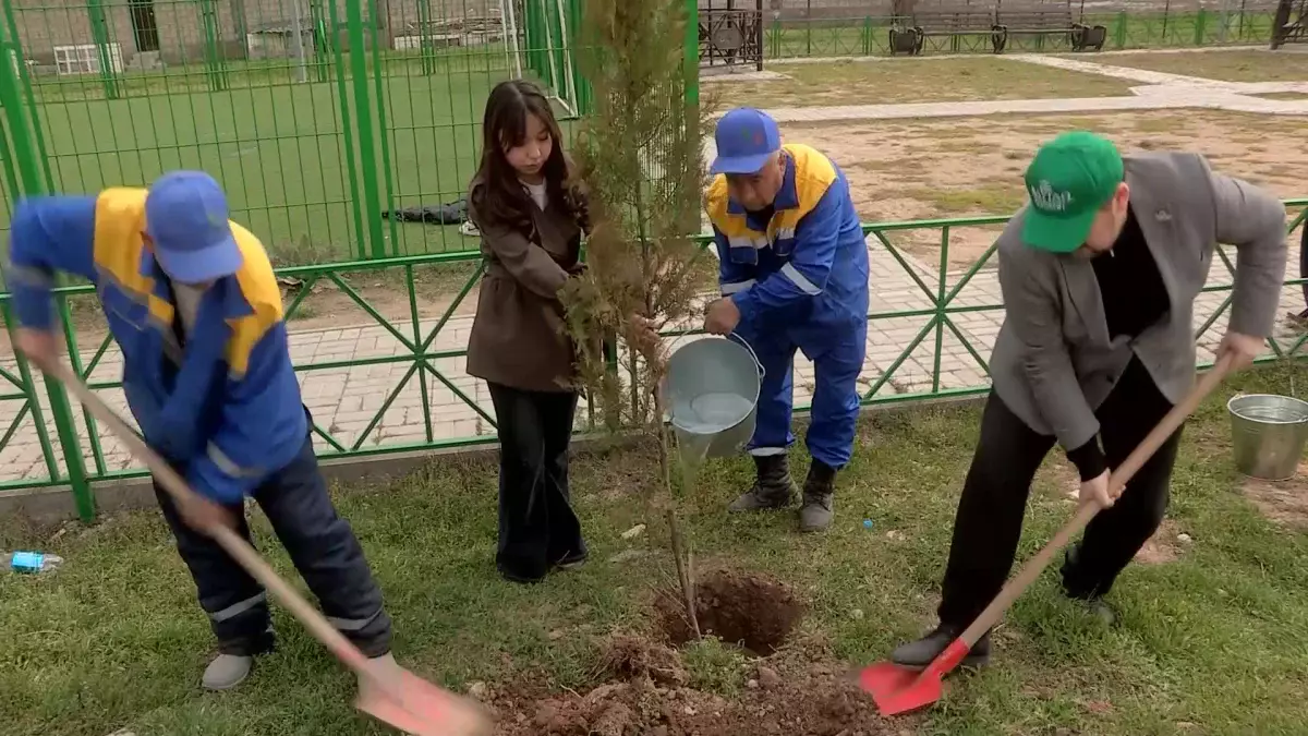 Жаңару күні: Шымкентте «Мың ағаш» челленджі басталды
