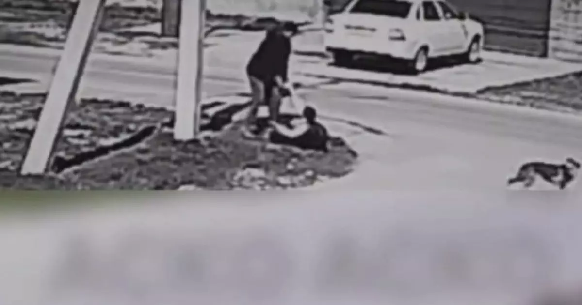  Шымкентте көшеде жасөспірім 5-сынып оқушысын соққыға жыққан 