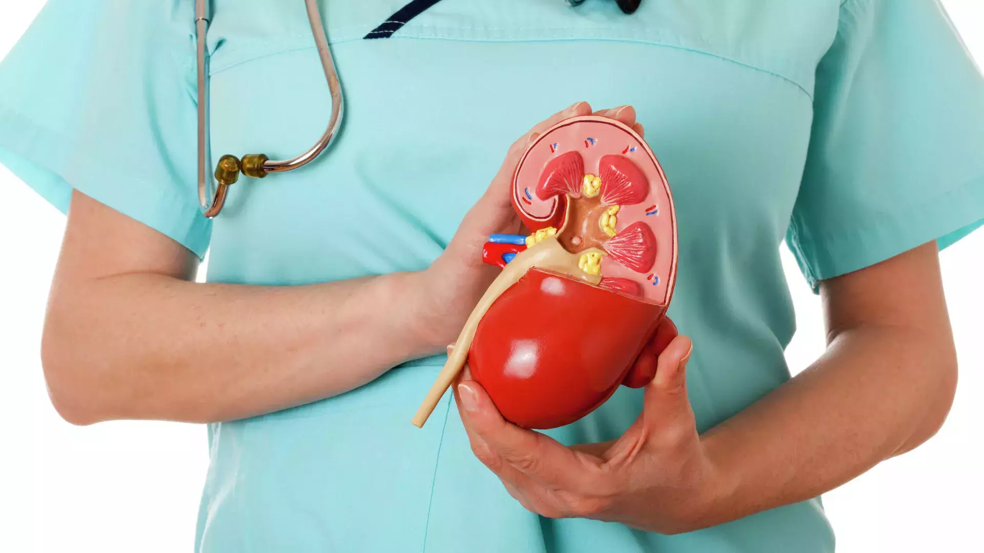 Алимент төлемек болған: бүйрегін сатпақ болған жігіт сотталып кетті