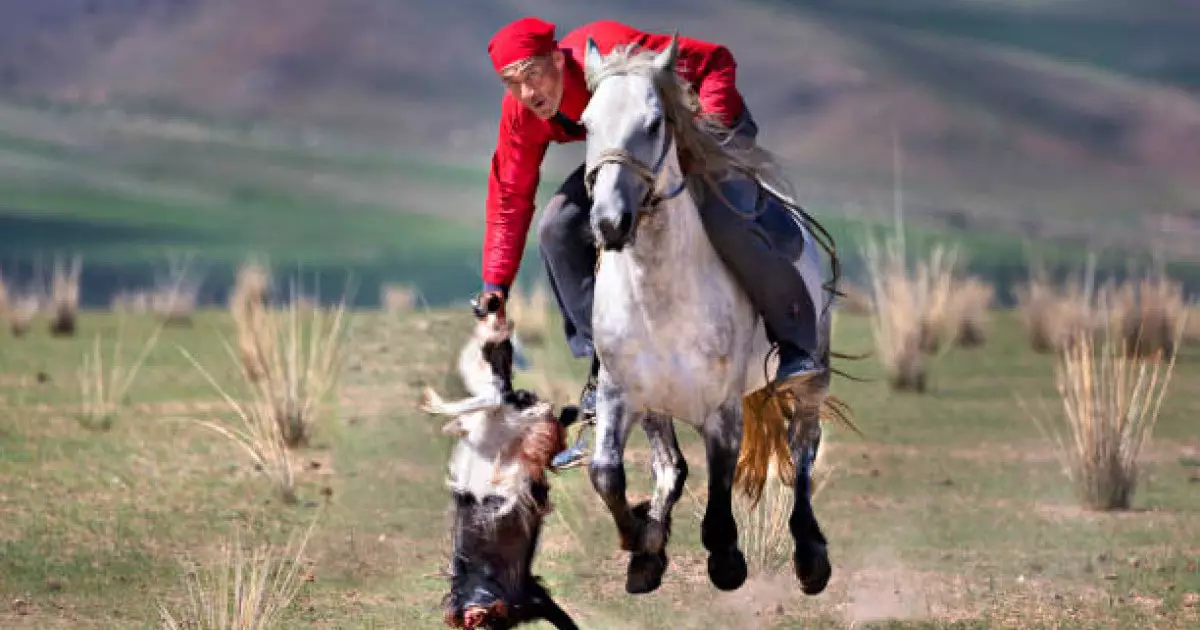  20 наурыз – Ұлттық спорт күні 