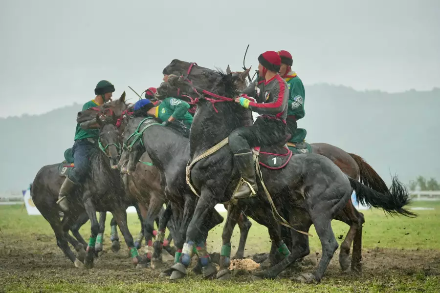 Ұлттық спорт күні: Қазақстанда қанша үйірме бар?