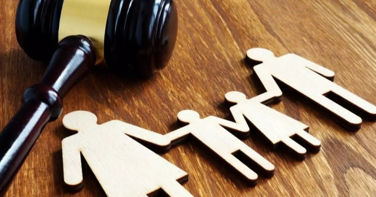  Алимент төлеу үшін бүйрегін сатпақ болған көкшетаулық 2 жылға сотталды 