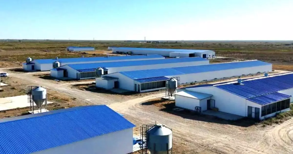  Қызылордада жылына 3,5 мың тонна өнім өндіретін құс фабрикасы іске қосылады 