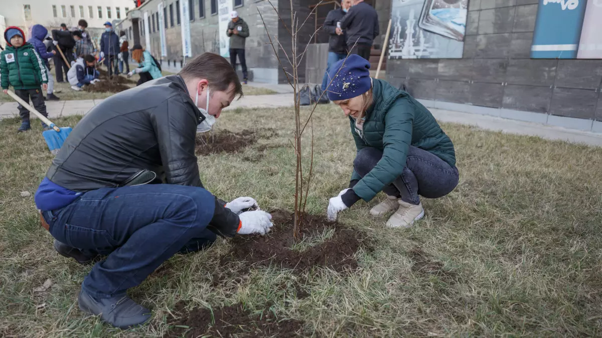 Таза Қазақстан: 18 млн деревьев высадили в городах и сёлах страны