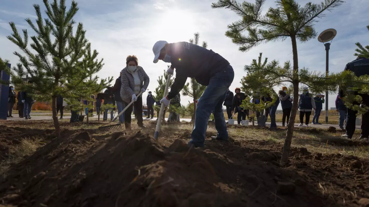 Таза Қазақстан: Казахстан перевыполнил план по озеленению населённых пунктов