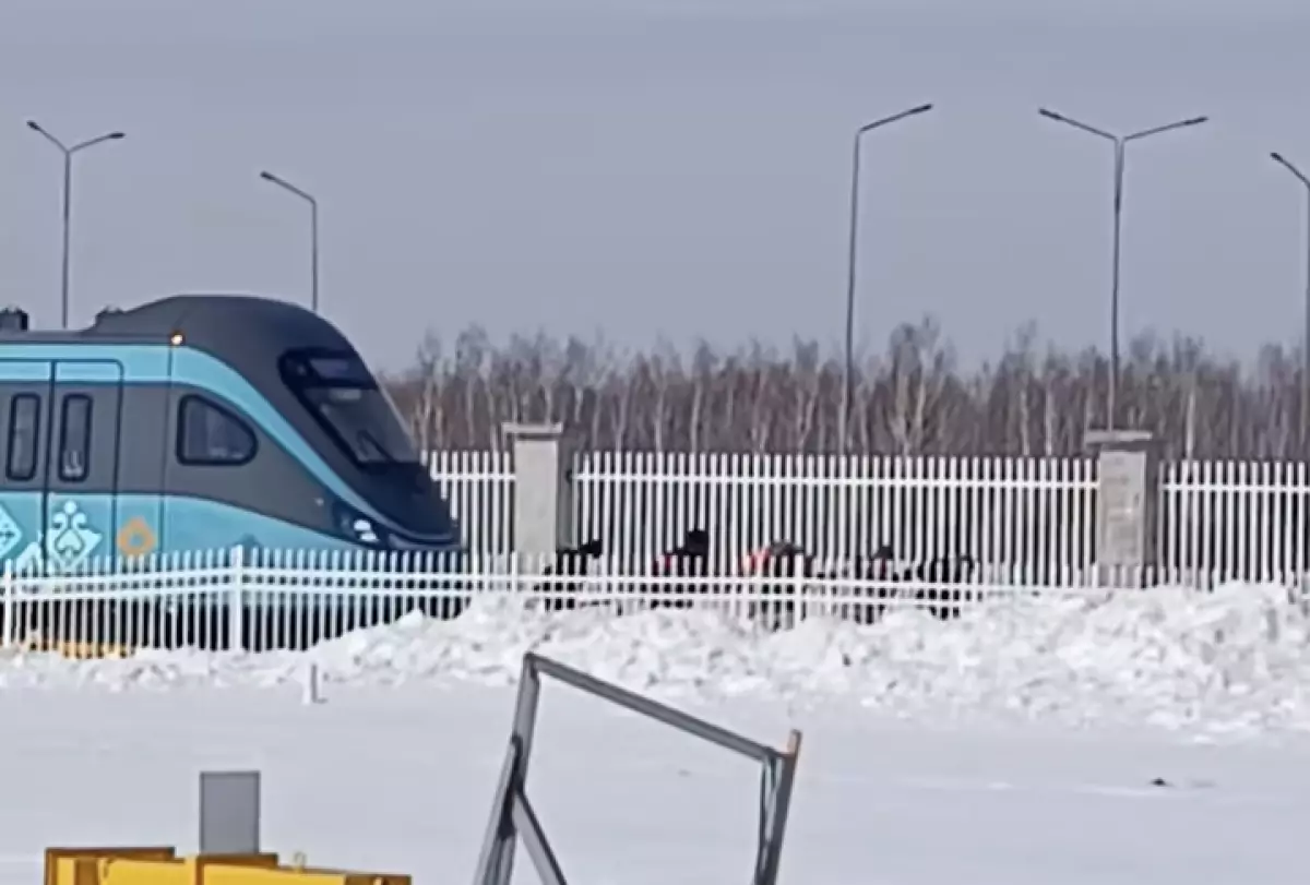 Желіде қызметкерлердің LRT-ны қолмен сүйреген видеосы тарады