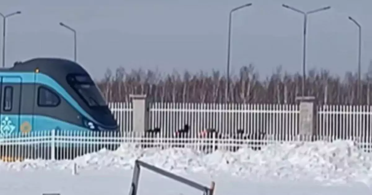  Астанада LRT вагондарын қолмен сүйреп бара жатқан жұмысшылар видеоға түсіп қалды 