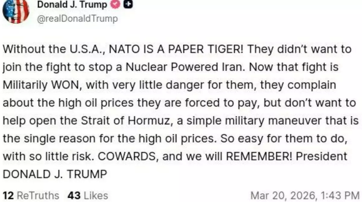 "Трусы, и мы это запомним": Трамп жёстко обрушился на союзников по НАТО