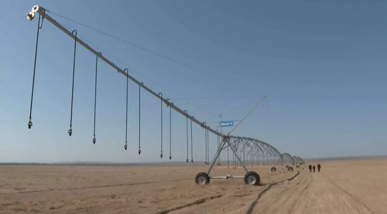 Биыл Алматы облысында 438 мың гектар жерге егін егіледі