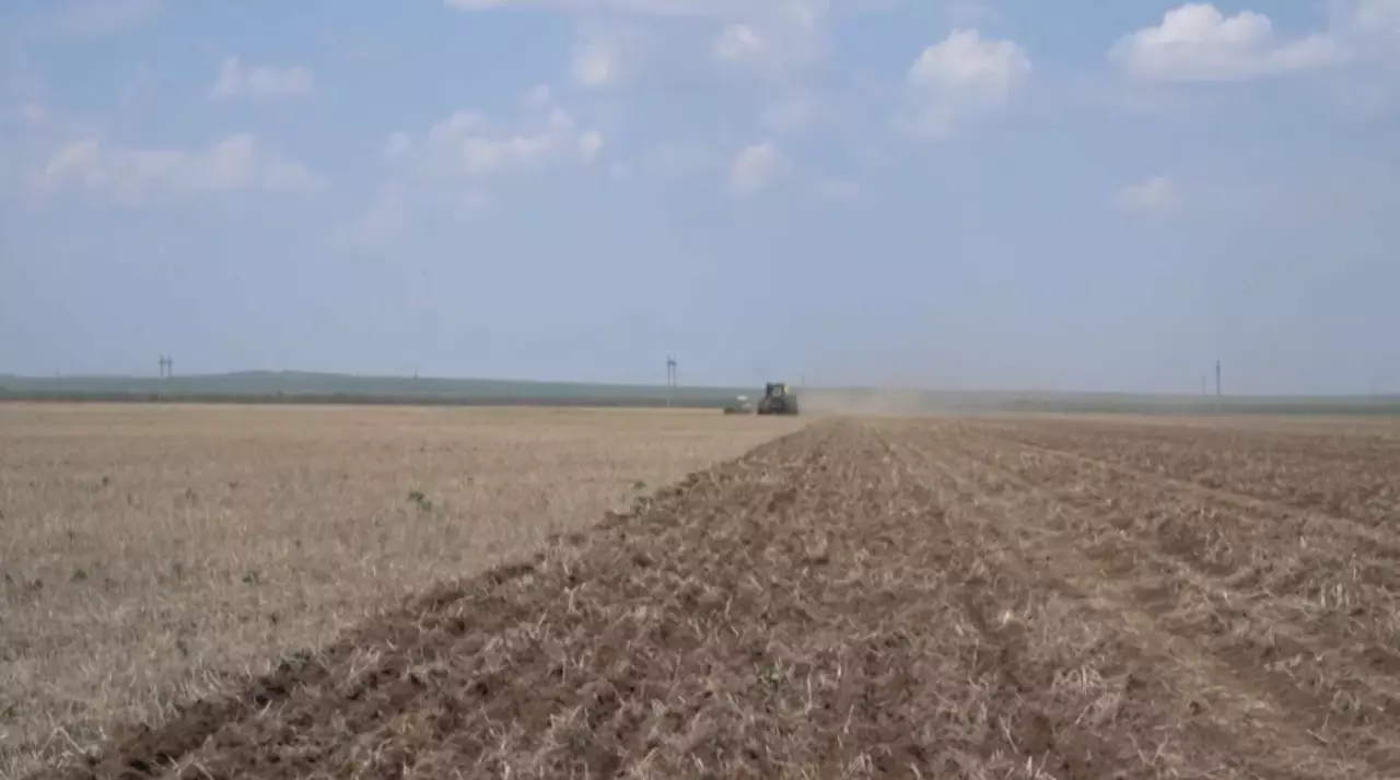 Астықты өңірлерде дала жұмысы қызды