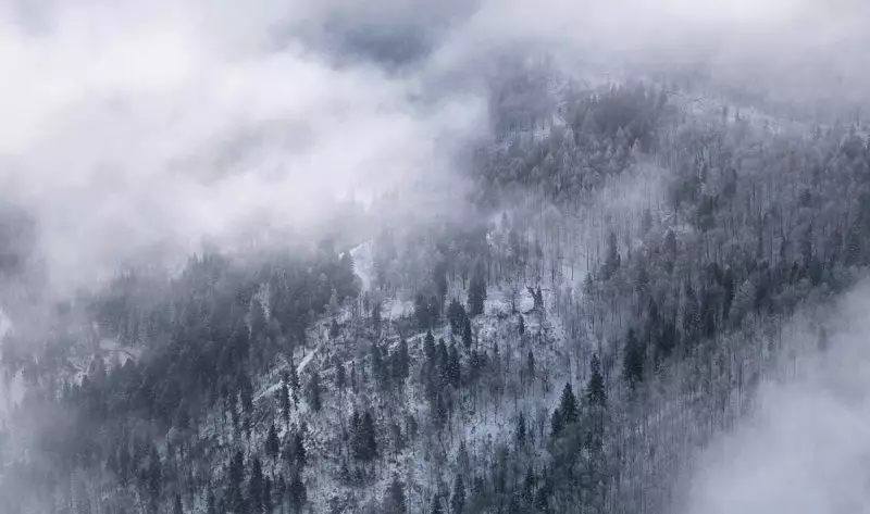 Синоптики предупредили о тумане, гололеде и бурях в регионах Казахстана