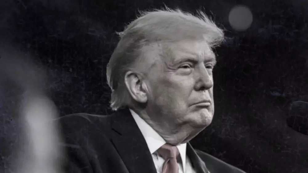 Трамп назвал НАТО “бумажным тигром“ и обвинил союзников в трусости