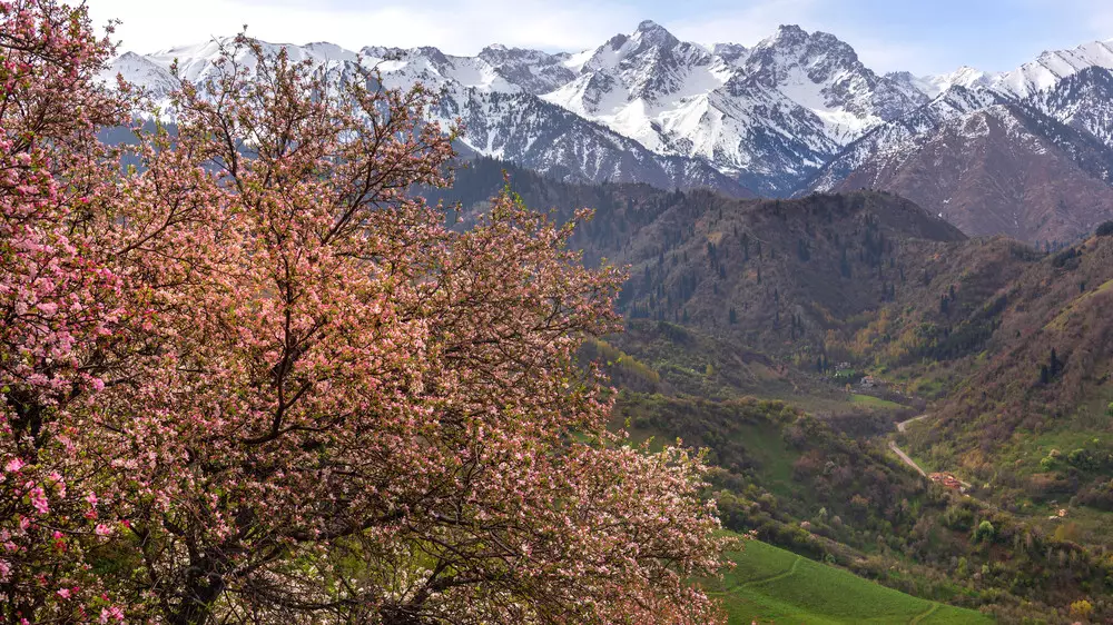 Потеплеет до +23. Какой будет погода в Казахстане в субботу, 21 марта