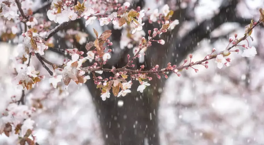 23 градус жылы: бүгін ауа райы қандай болады?