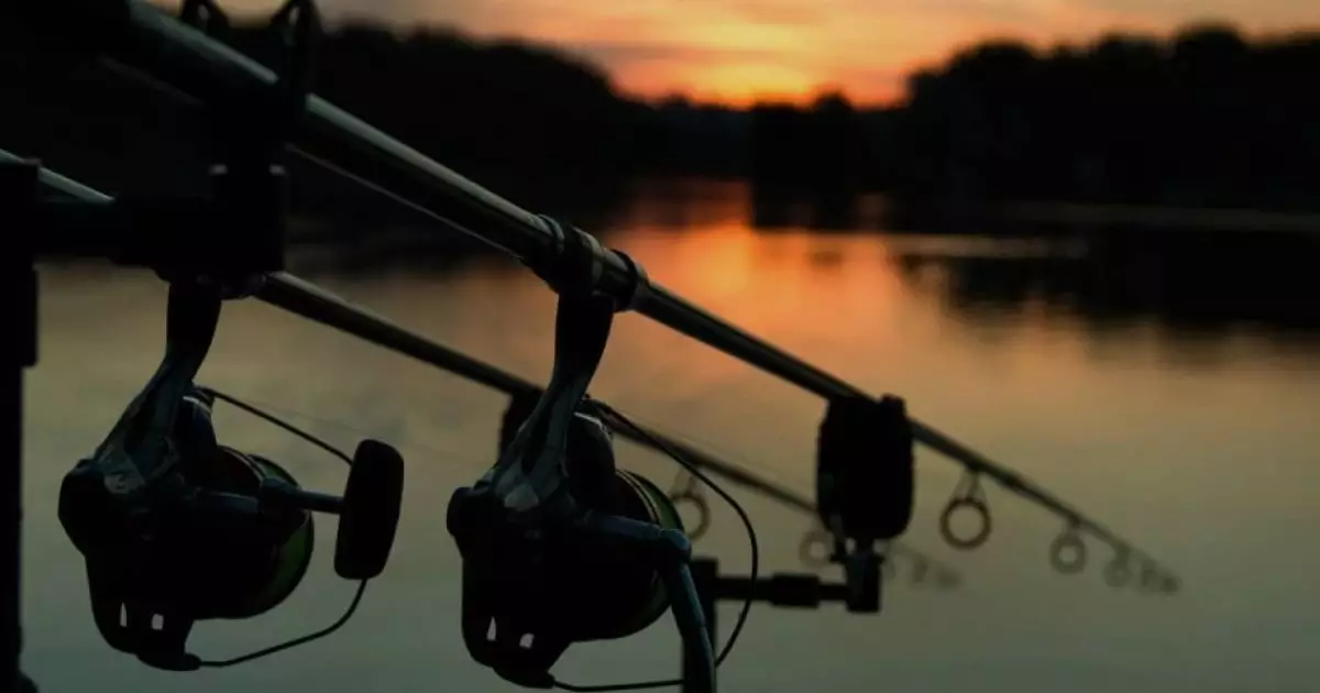  С 13 мая за ночную рыбалку начнут штрафовать 