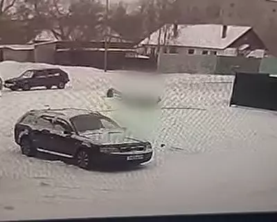 В Караганде женщина погибла от падения столба (видео)