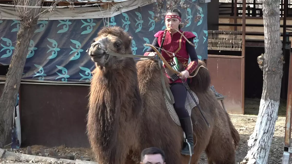 Түйе үстінде шауып келе жатып садақ атқан алматылық спортшы әлемдік рекорд орнатты