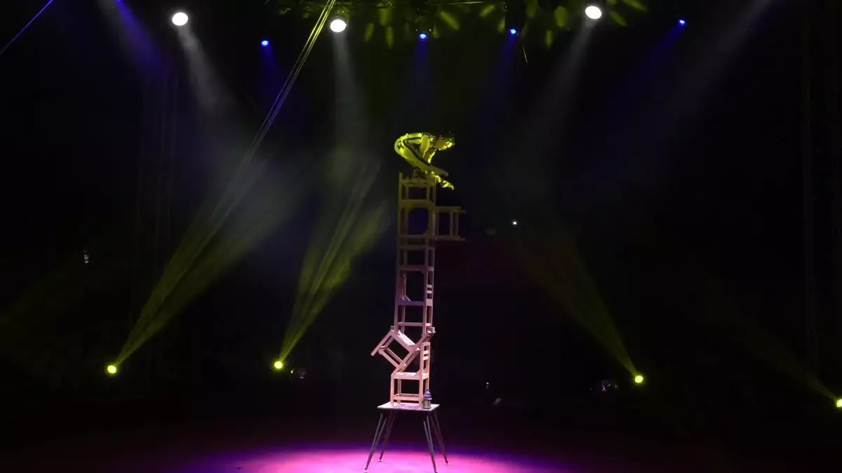 Наурыз ШОУ: Алатау ауданында цирк әртістері қойылымы қойды