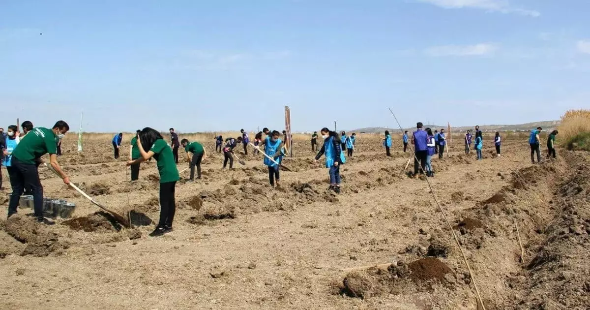 Казахстан предпринимает большие усилия по возрождению экосистемы Приаралья.