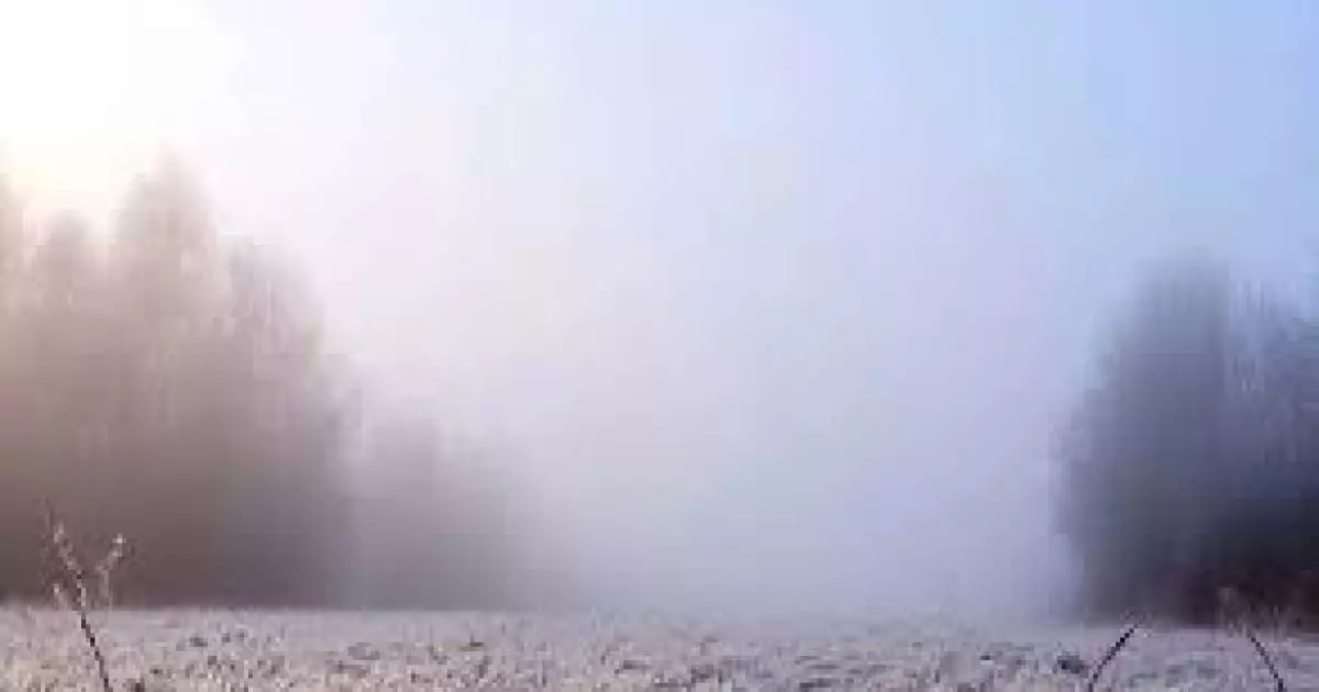  Заморозки ударят по северу Казахстана — прогноз на 22 марта 