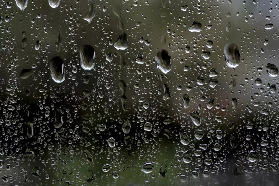 Жылы әрі жаңбырлы: 22 наурызда ауа райы қандай болады?