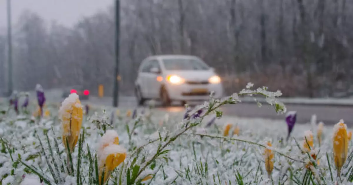   22 наурызға арналған ауа райы: Қазақстанның үш өңірінде құбылмалы жағдай күтіледі   