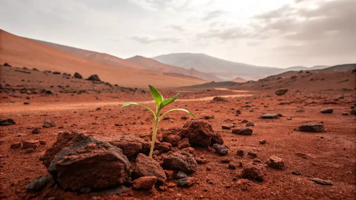 Еда из марсианской пыли: ученые приблизили создание автономных ферм на Марсе