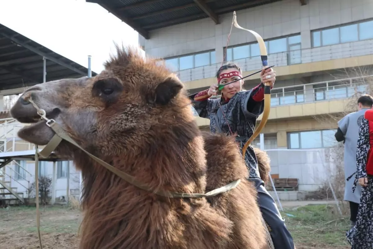 Түйе үстінде 10 секундта 4 нысана: Алматы ипподромында әлемдік рекорд орнатылды