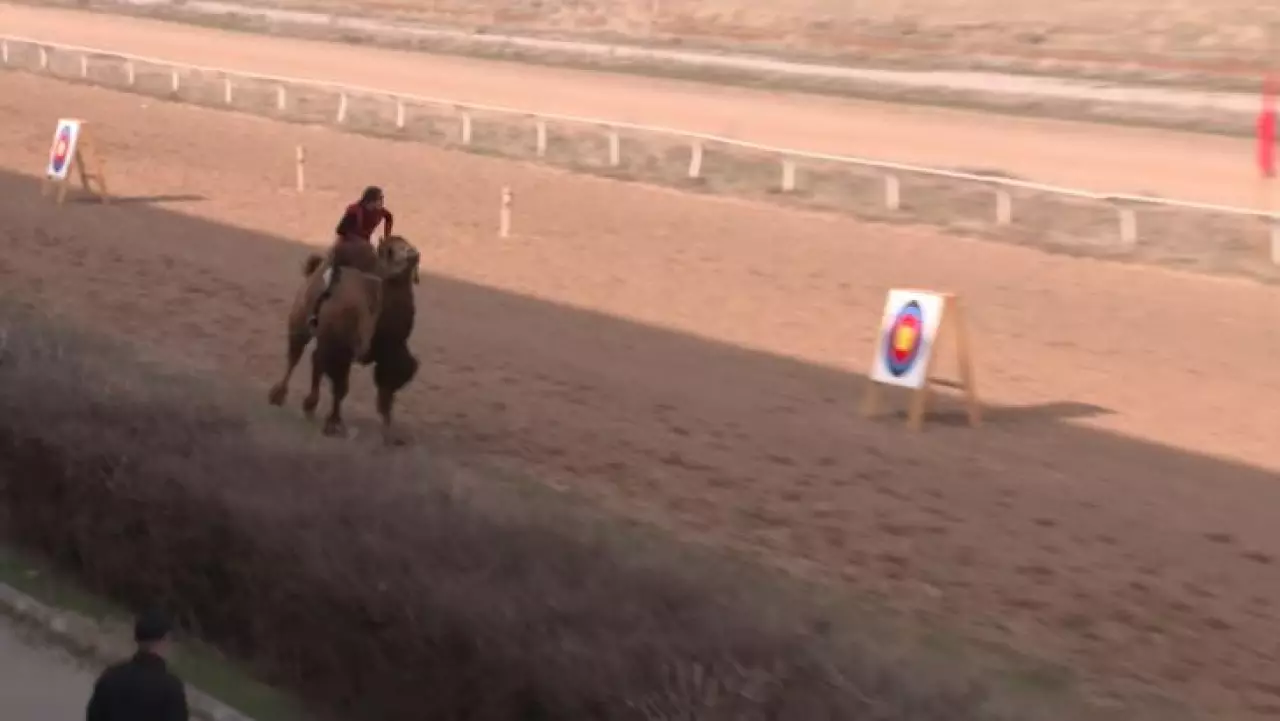 Два мировых рекорда установили во время Наурыза в Алматы