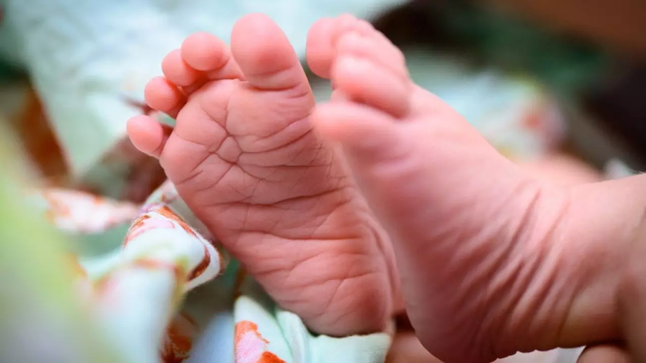 Страшную находку обнаружили в пригороде Астаны