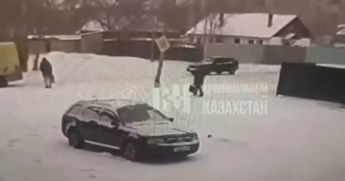  Қарағандыда әйелдің үстіне жарық бағаны құлап, көз жұмды (ВИДЕО) 