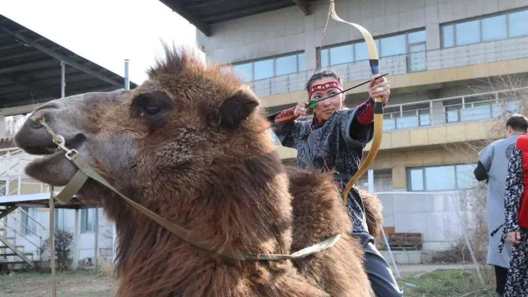 Түйе үстінде 10 секундта 4 нысана: Алматы ипподромында әлемдік рекорд орнатылды