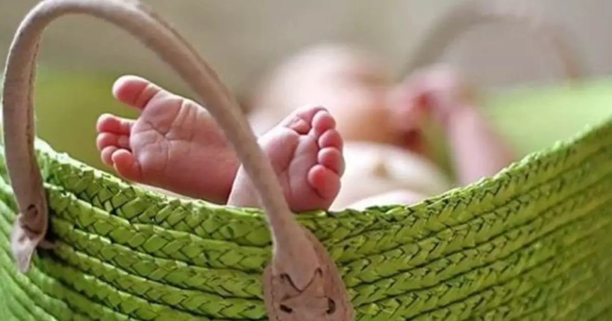  В Косшы на обочине дороги нашли пакет с телом младенца 