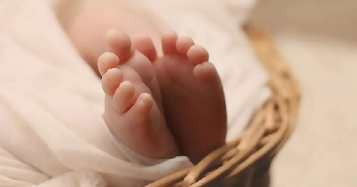  Қосшыдағы сұмдық жағдай: пакетте нәресте денесі табылды 