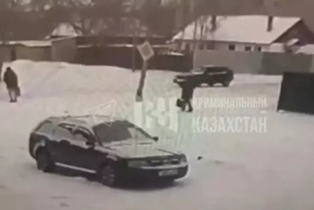 Қарағандыда әйелдің үстіне жарық бағаны құлап, көз жұмды