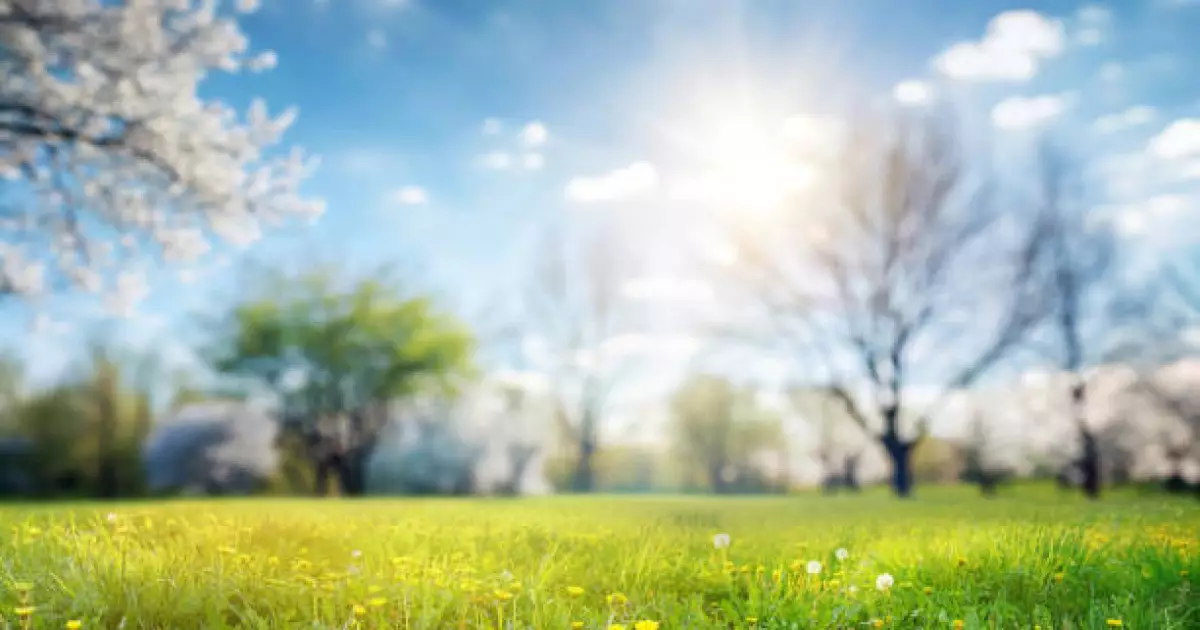   Бүгін «Тазару күніне» байланысты ел бойынша ауқымды эко-акция өтеді   