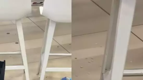 Индиец возмутился соотечественниками, мусорившими в аэропорту Казахстана.