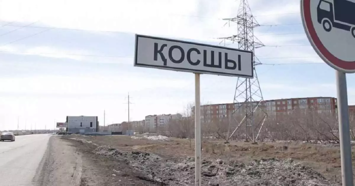  Қосшыда 6 айлық сәбиді жол бойына тастап кеткен 