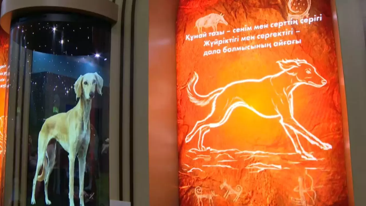 Астанада Наурыз мерекесі айрықша тойланды