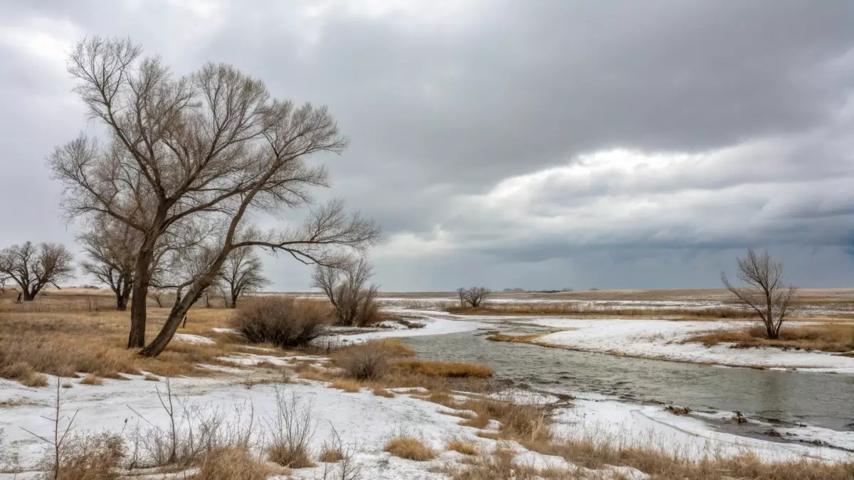 Конец марта будет весенним и непредсказуемым – синоптики о погоде в Казахстане на неделю