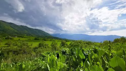 Казахстан - звезды, степь и кумыс в программе телеканала Arte 11 апреля в 18:35.