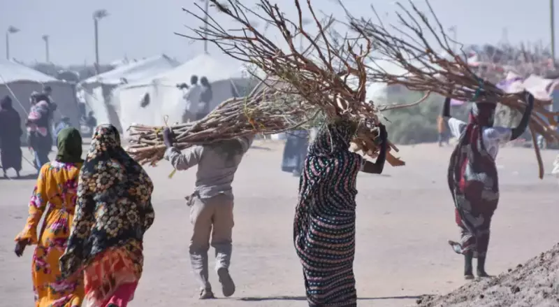 В Судане атаковали больницу: десятки погибших