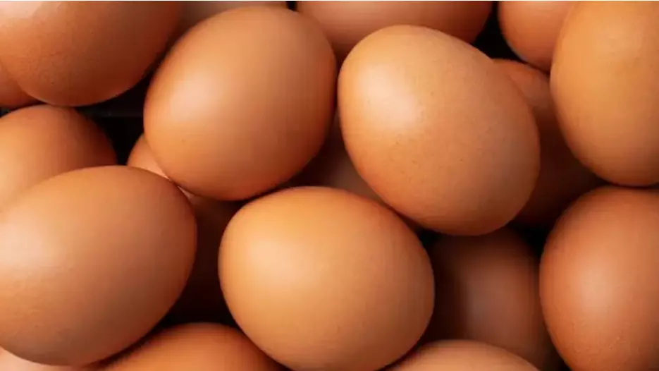 Германияда Пасха қарсаңында жұмыртқа тапшылығы ушығуы мүмкін