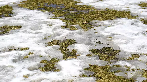 Интенсивное таяние снега ожидается в нескольких регионах